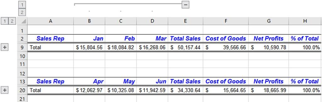 PARTICIPANT NOTEBOOK Using Excel Outlines To Break Data Into Summaries Determine whether the outline will be done manually or using the Auto Outline feature.
