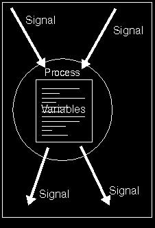 Variables vs. Signals.