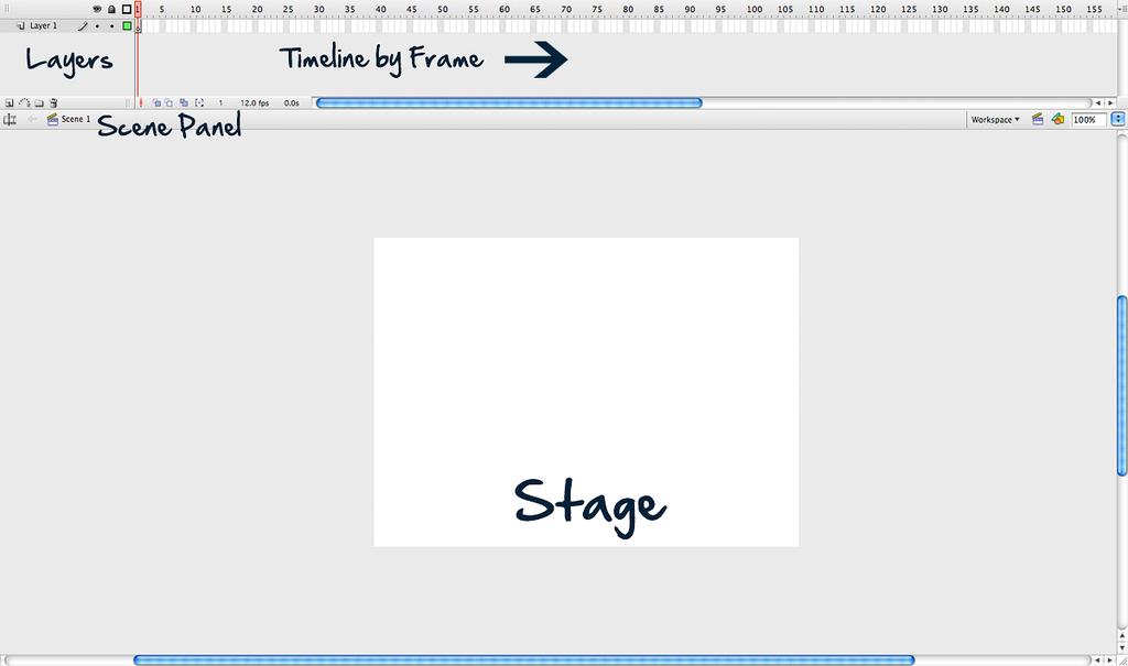 Basics of Flash Animation The Stage is where you do your main design work The timeline is where you animate your