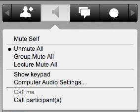 Mute/Unmute Participants Click the voice icon next to the participant s name on their business card to mute or unmute that participant.