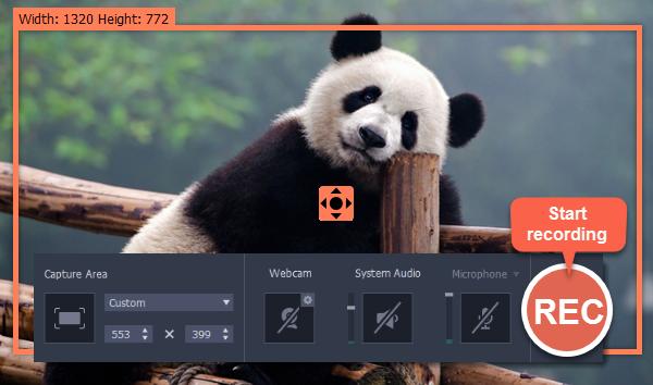Making an animated GIF To create a GIF, all you need to do is record an action or video on the screen and then save the animation in the GIF format. Step 1: Select capture area 1.