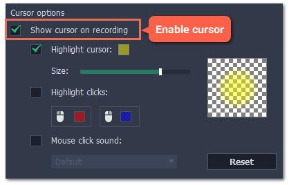 This will make the cursor visible on recordings. To make the cursor invisible, disable this option.