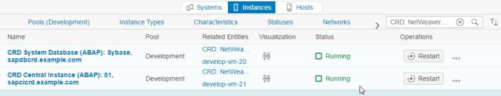 trial appliance has an Intersystem Dependency configured, that requires the ERD Central Instance to be running before CRD Central Instance can be started.