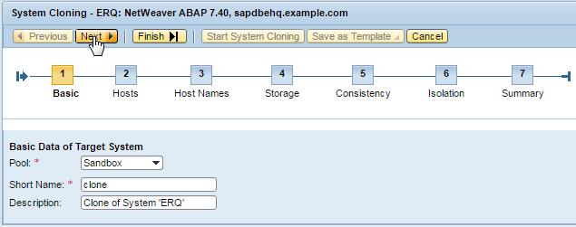 4. On the Basic step screen, provide the following values: o Pool:
