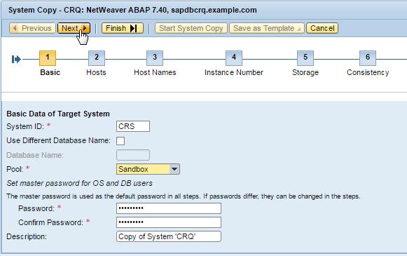 42. On the Basic step screen, enter the following values: o System ID: CRS o Pool: Sandbox o Password:
