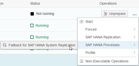 2. Choose SAP HANA Processes > Failback for SAP HANA System Replication. 3. Choose Execute.