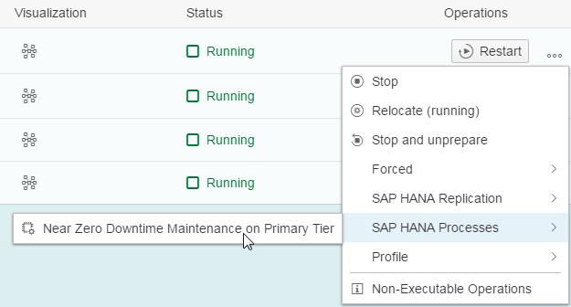 17. Choose SAP HANA Processes > Near Zero Maintenance on Primary Tier. 18. Choose Execute. 19. Choose OK.