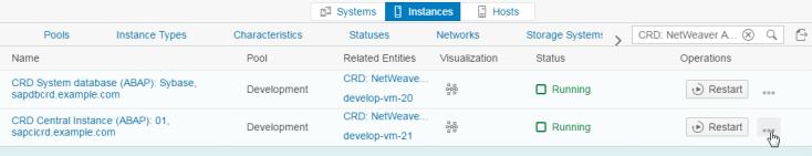19. Choose in the line CRD Central Instance (ABAP): 01, sapcicrd.example.