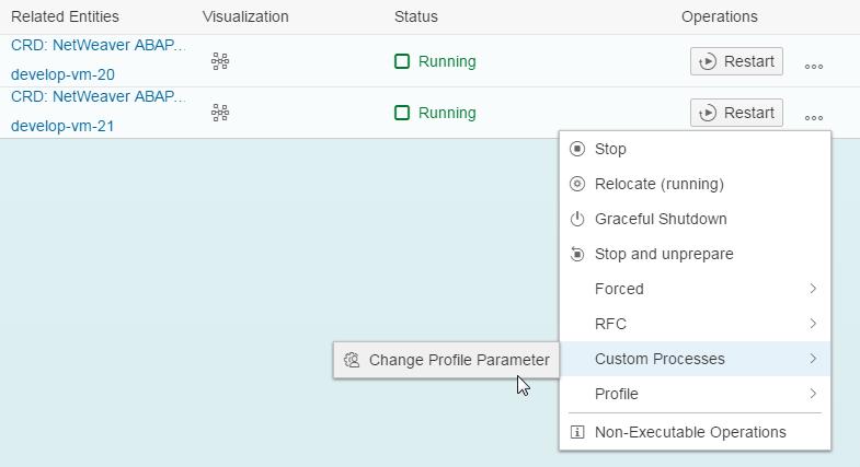 20. Choose Custom Processes > Change Profile Parameter. 21. Choose Change Profile. 22.