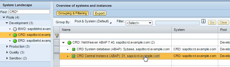 Select the central instance for system CRD under the Development pool.