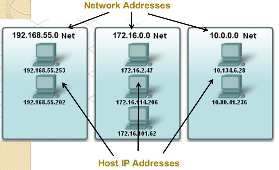 NETWORK ADDRESS vs host address A network address serves as a unique identifier for a computer (or other devices) on a network.