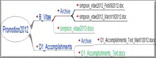 Saving File Versions Name your vitae file with the year Ex. Simpson_vitae2012.