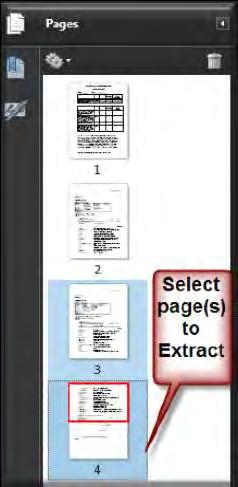 Extracting Pages From the