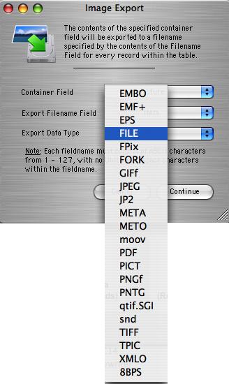 Image Export - Field Selection - Data Type Select the data type from the Export Data Type menu. FileMaker 7+ supports storing 22 data types within container fields, as shown in this image.