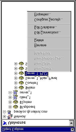 Right-clicking inside the explorer displays some variation of the following menu.