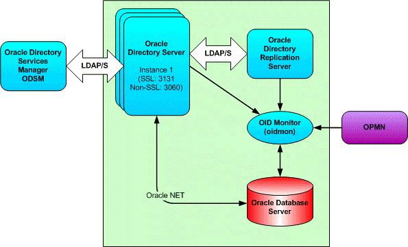 Oracle Internet Directory Details Oracle Internet Directory (OID) implements a unique architecture which enables the directory to fully utilize the underlying server hardware, scale on any given