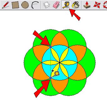 The flower forms some of the geometry we need to create the dodecagon.