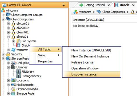 8. DISCOVER THE INSTANCE UNDER THE DATABASE SERVER AND CONFIGURE SNAP BACKUP FIGURE 13.