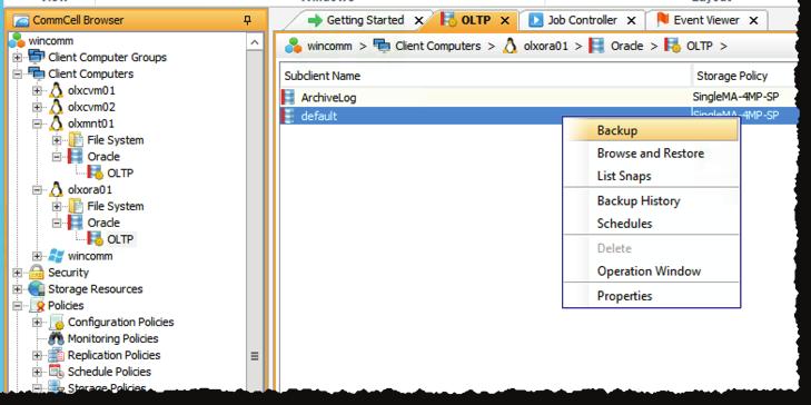 The database was backed up using the Backup option on the default sub-client level of olxora01, which submits two jobs. FIGURE 18.