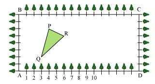 on the boundary at a distance of 1 m from each other. There is a triangular grassy lawn in the plot as shown in the following figure.