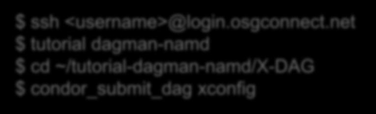 net $ tutorial dagman-namd $ cd