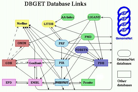 LinkDB: A Database of Cross Links between Molecular Biology Databases Susumu Goto, Yutaka Akiyama, Minoru Kanehisa Institute for Chemical Research, Kyoto University Introduction We have developed a