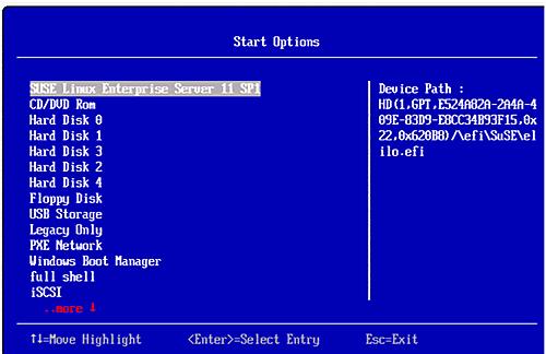 Appendix D. Example for Installing and Booting UEFI FCoE 265 10. To add an UEFI system partition (VFAT or FAT), click Add. 11.