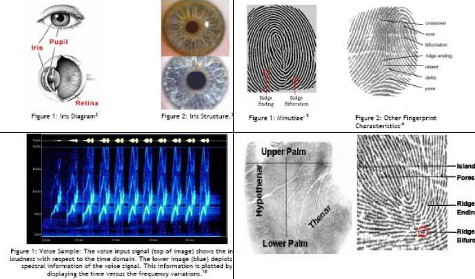 CHAPTER 3: FIGURE 30: Biometric Technologies Including Iris Recognition, Fingerprint Identification, Voice Recognition and Palm Print Identification