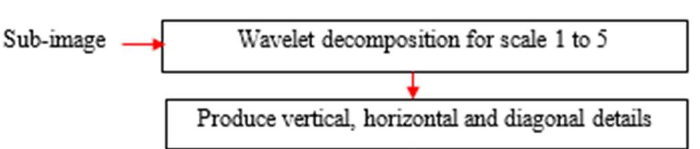 The decomposition at each scale produces the coefficients of the details in three orientations: vertical, horizontal and diagonal.