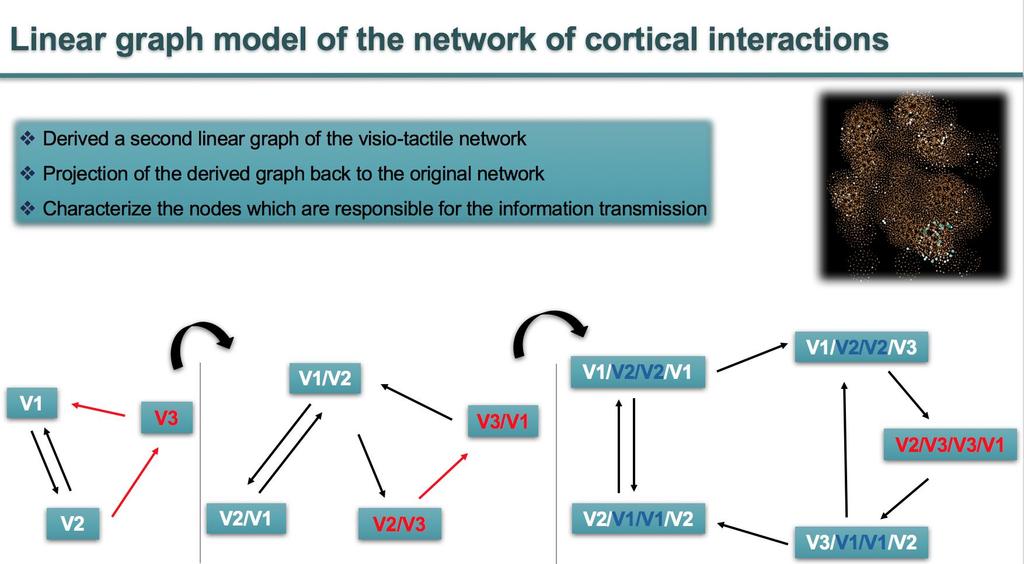 directed graph of cortical interactions* (Input/Processing/Target) (9869 vertices = IPT flows, 166219