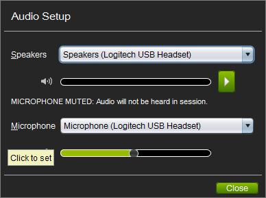 3. Test Your Audio - The first thing you should always do each time you join a session