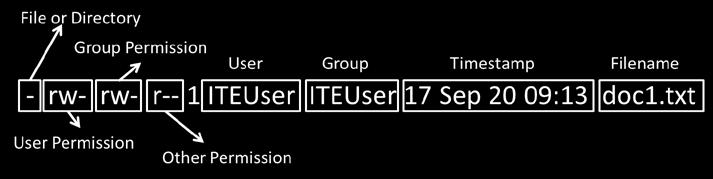If the user is not the owner or in the group ITEUser, the user can only read the file as indicated by the permission for other. d. Type the man ls command at the prompt.