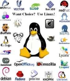 Large Business User What software is available for a home user?