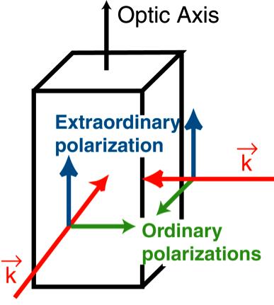 Light polarized along the optic axis is called the extraordinary ray, and light polarized perpendicular to it is called the
