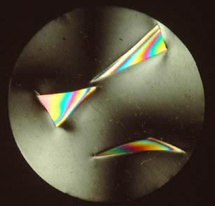 Interference colors Light passed through a polarizer to produced linearly polarized light, then passed through a