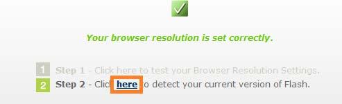 2. Browser resolution and Flash version test Before the training will open, a browser test has to be performed. As instructed on the page, click Here to test Browser resolution settings.