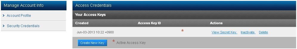 the [Security Credentials] tab to display the access key ID.