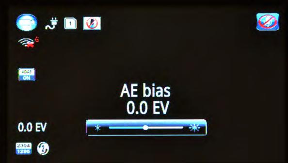 AE Bias (Automatic Exposure) Exposure Value, + brighter, - dimmer.