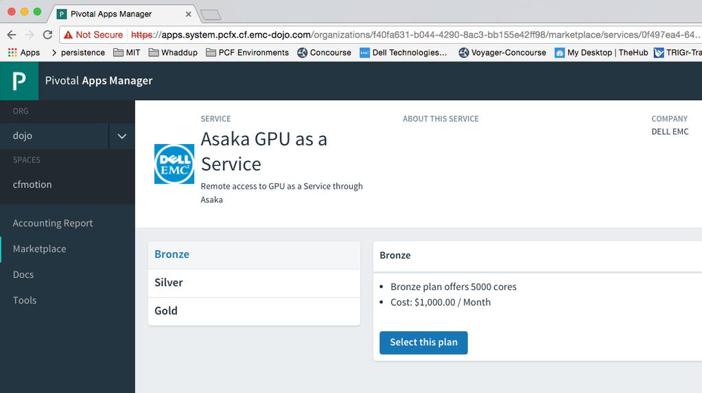 Cloud Foundry Marketplace Fully Self Serviced Industrial standard