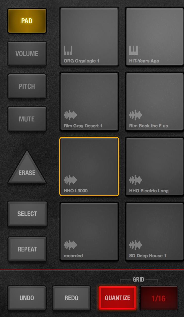 TRACKS AND PADS PAD Modes: Pad PAD mode is the most typical mode to work in, allowing the selection of individual tracks for editing and providing basic, single note entry while recording.