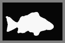 corresponding to an image neighborhood with a radius of 16 pixels. Fish sequence (Figure 12).