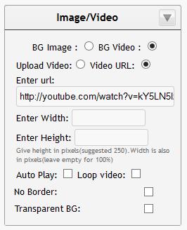 be using an Image or a Video for this widget by clicking the appropriate radio button.