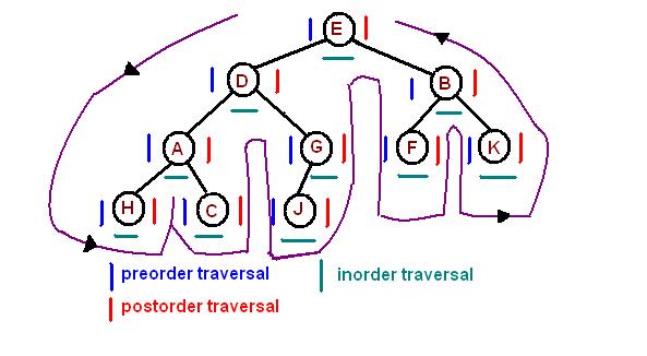 Binary Tree Traversal Shebuti
