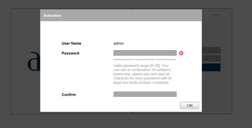 Figure 2-3 Activation via Web Browser 3. Create a password and input the password into the password field.