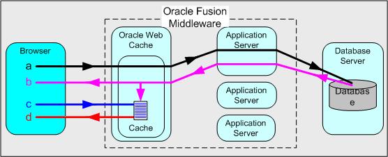 When to use Discoverer Viewer with Oracle Web Cache 7.3 How does Oracle Web Cache work? Oracle Web Cache uses cacheability rules to determine which documents to cache.