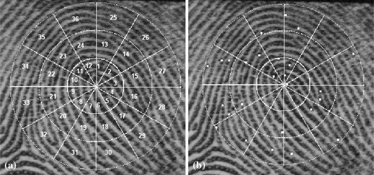 Fig. 3 Spatial tessellation and detected minutiae overlaid on a fingerprint image.