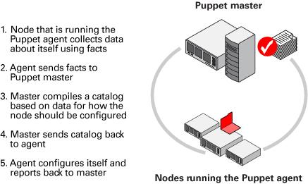How Puppet Works Puppet agent application, typically as a background service. For more information, go to https: //docs.puppet.com/puppet/3.6/reference/architecture.html.