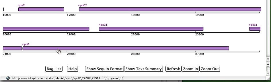 Figure 3: Mousing over the gene block displays that gene s information in the bottom of the browser window. You can scroll down to see all of the genome.