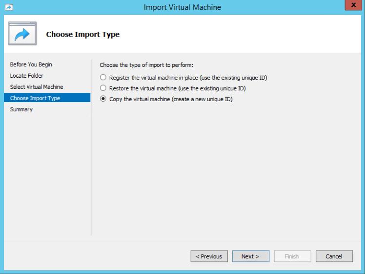 On the Choose Import Type screen, select Copy the virtual