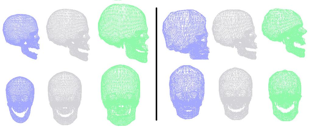 106 M. Berar et al. approach. Results on synthetic and real images exhibit good qualitative performances. This method is then used to elaborate a statistical skull model. Fig. 6.